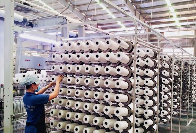 Nhựa Tân Đại Hưng chi tối đa 56 tỷ đồng mua 4 triệu cổ phiếu quỹ để hủy