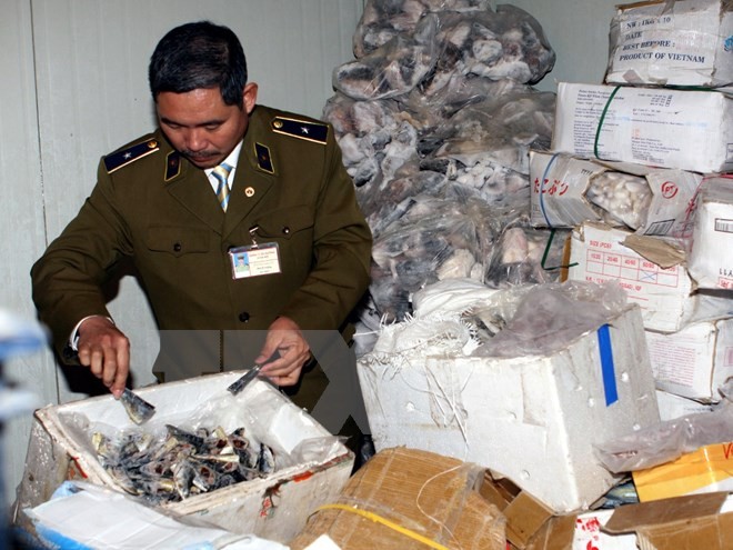 Lực lượng chức năng kiểm tra sản phẩm cá đông lạnh được nhập từ nước ngoài không rõ nguồn gốc. (Ảnh: Trần Việt/ TTXVN)
