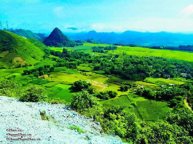 Rủ nhau lên Mộc Châu hái mận chín