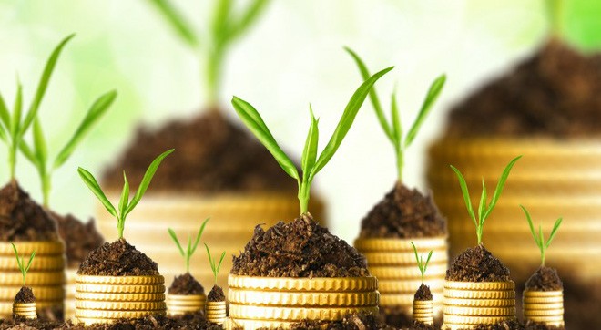 7 quy tắc 'vàng' đầu tư đất nền an toàn