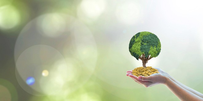 Doanh nghiệp ngày càng chủ động phát triển bền vững