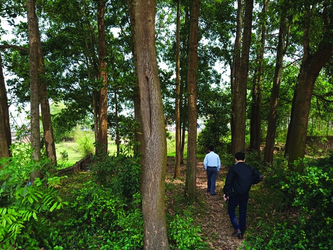 Nhà đầu tư Hà Nội kéo về các địa phương săn đất. Ảnh: Dũng Minh.