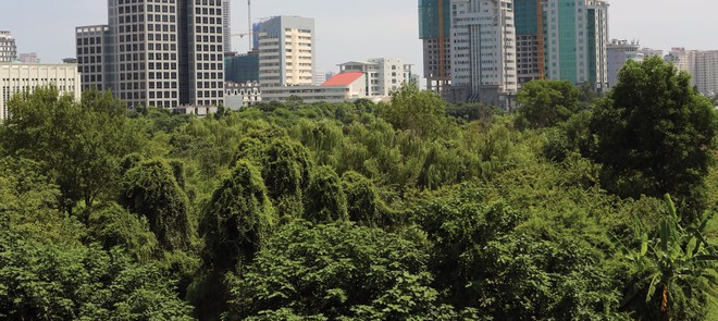 Cả nước hiện có hàng trăm dự án đang gặp vướng mắc liên quan tới đất đai. Ảnh: Dũng Minh.