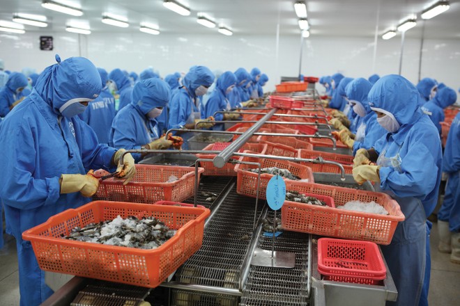 Chính sách thuế giá trị gia tăng mới góp phần tháo gỡ khó khăn cho sản xuất nông nghiệp và thủy sản.