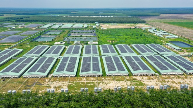 Giữa “tâm bão” ngành chăn nuôi, BAF nỗ lực giữ biên lợi nhuận 