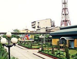 LAS: Quý IV/2013, lợi nhuận và doanh thu ngược chiều