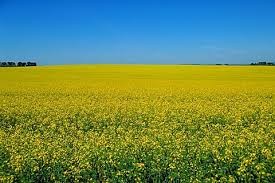 Sự kiện chứng khoán đáng chú ý ngày 4/11