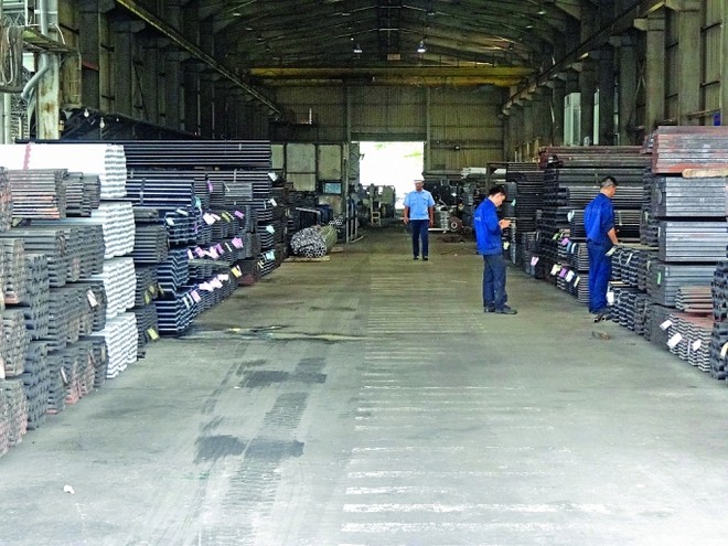 Vingal (VGL) trả cổ tức năm 2019 bằng tiền mặt, tỷ lệ 13%