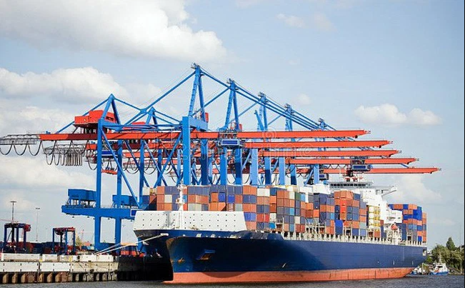 Hải Minh (HMH) chốt quyền chia cổ tức năm 2021, tỷ lệ 30% bằng tiền