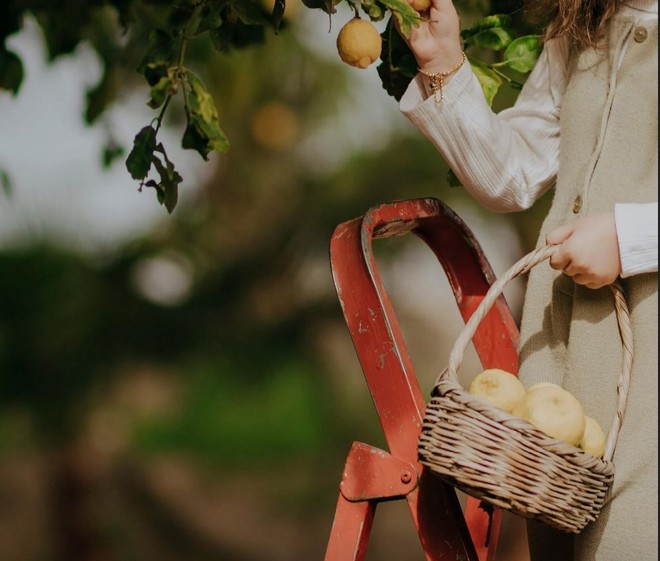 Mức chi trung bình toàn cầu cho mỗi đợt nghỉ hưu tạm thời lên tới 339.800 USD