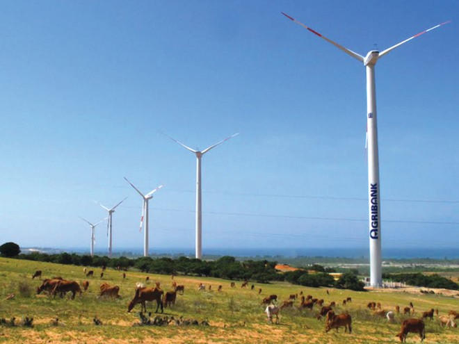Dự án Nhà máy Điện gió Tuy Phong (tỉnh Bình Thuận).