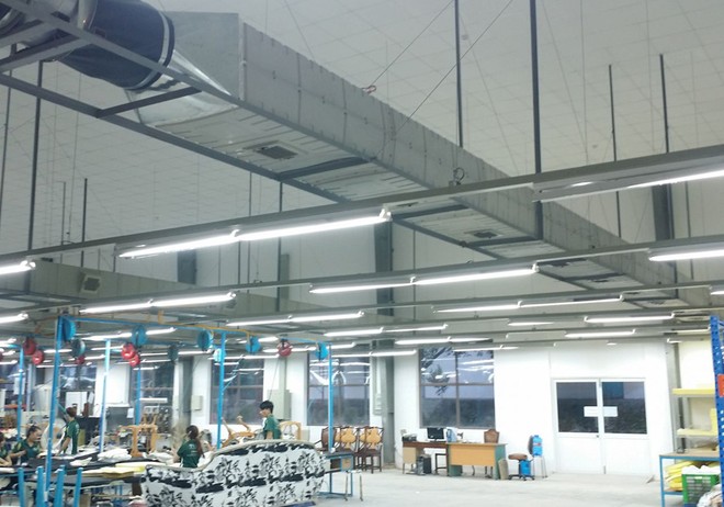 CTCP Cát Lợi (CLC) tạm ứng cổ tức đợt 1 tỷ lệ 10% bằng tiền