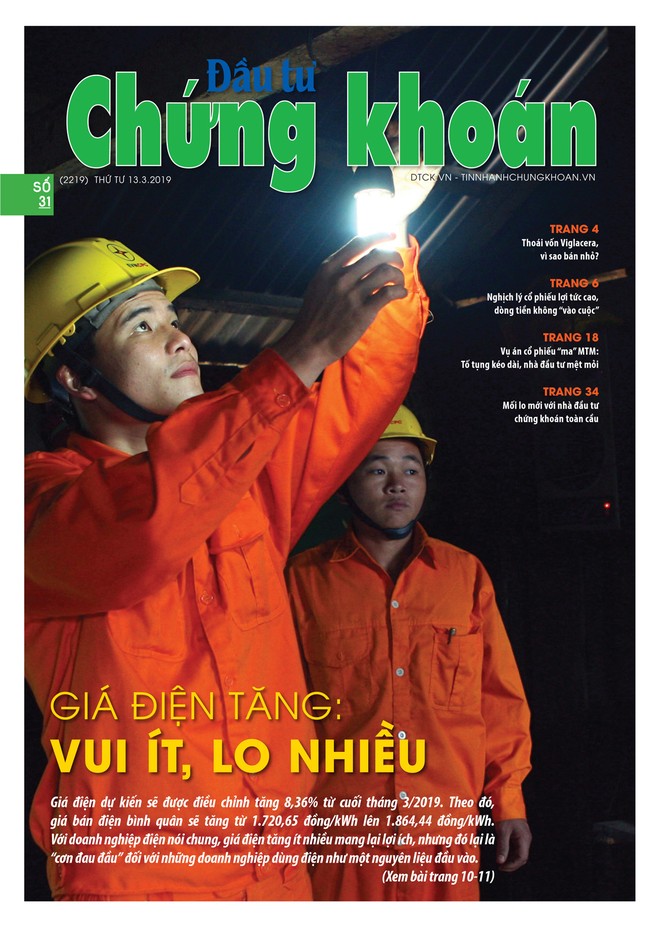 Đầu tư Chứng khoán số 31/2019