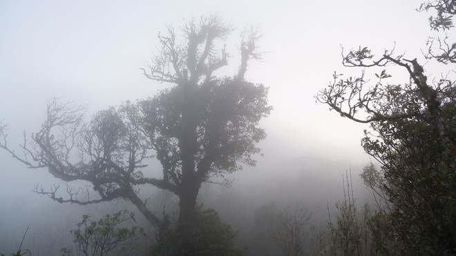 Gọi bình minh thức giấc