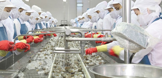 Doanh nghiệp thủy sản đón cơ hội EVFTA