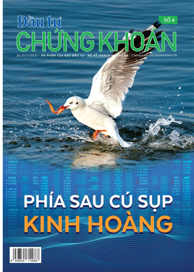 Đầu tư Chứng khoán số 4/2021