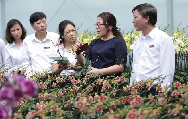 Agribank tích cực góp phần phát triển nông nghiệp bền vững gắn với xây dựng nông thôn mới.