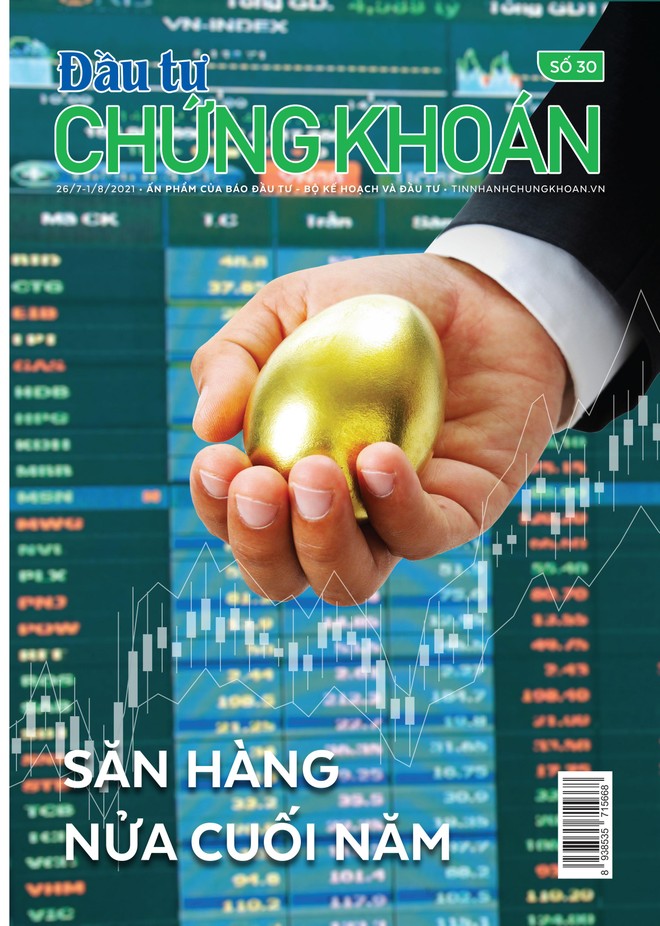 Đầu tư Chứng khoán số 30/2021
