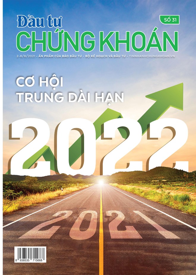 Đầu tư Chứng khoán số 31/2021