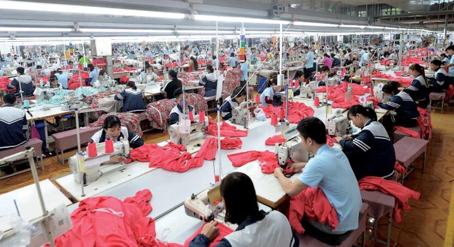 May Sông Hồng (MSH) chốt quyền chia cổ phiếu thưởng, tỷ lệ 2:1