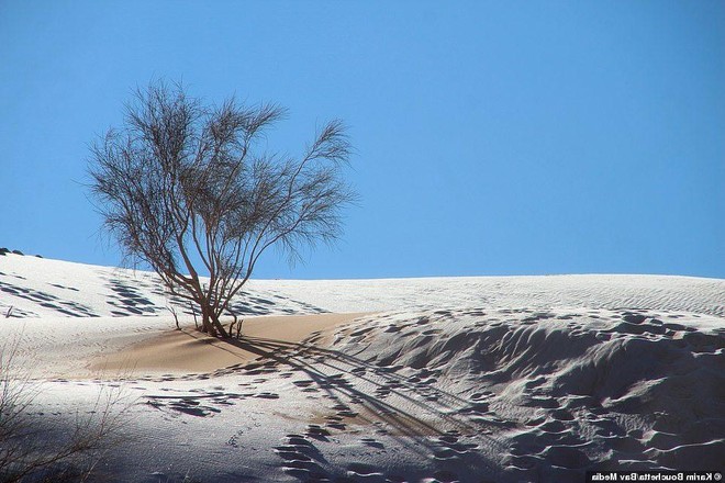 Tuyết phủ trắng vùng sa mạc cằn cỗi