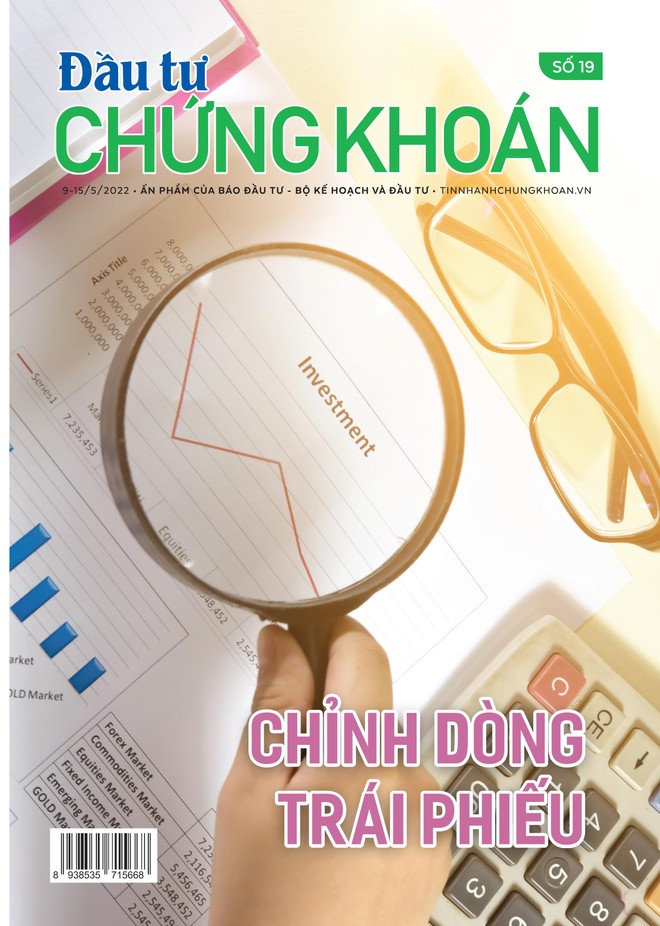 Đầu tư Chứng khoán số 19/2022