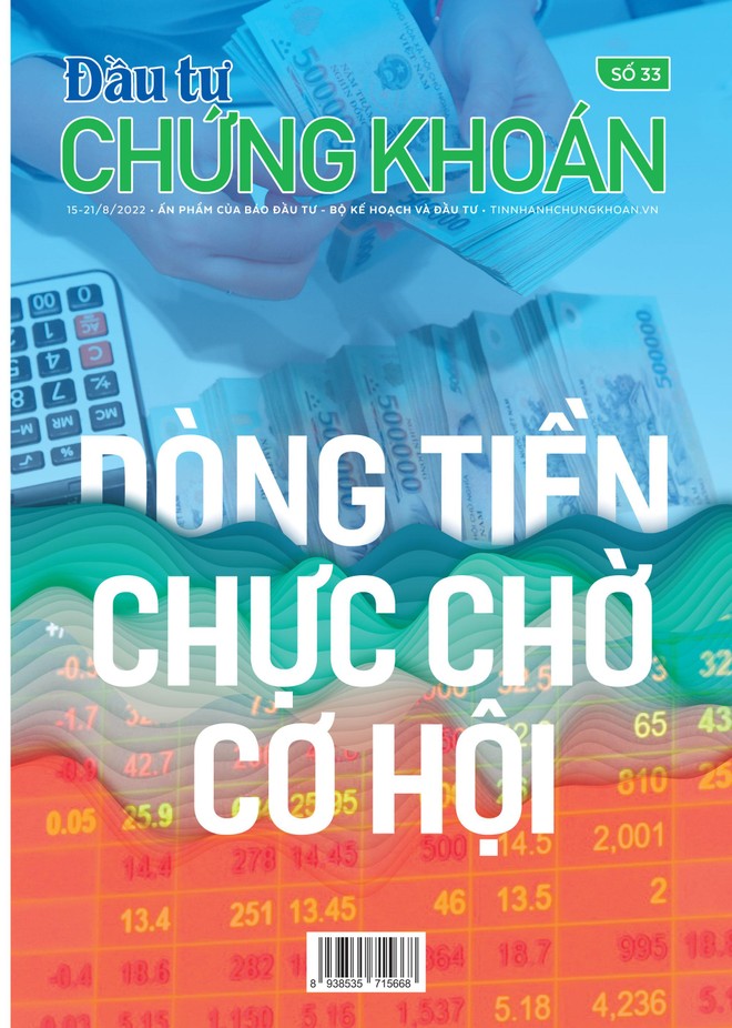 Đầu tư Chứng khoán số 33/2022