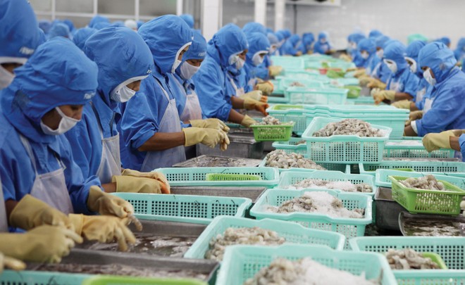 Mở rộng thị trường xuất khẩu đang là hướng đi của các doanh nghiệp chế biến thủy sản 