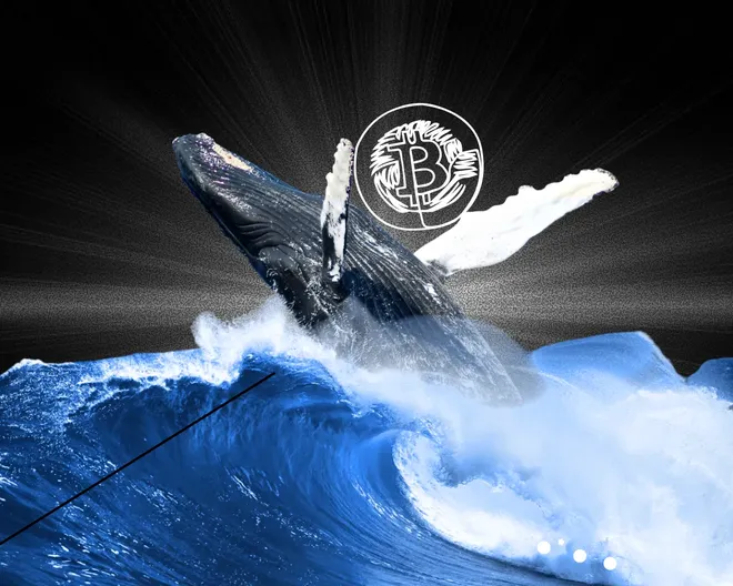 Quý I/2026, nhóm các nhà đầu tư "cá voi" Bitcoin cắt lỗ hơn 30 tỷ USD