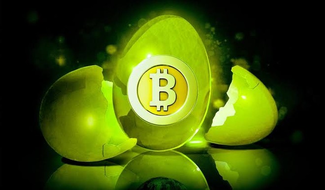Vượt mốc 78.000 USD, Bitcoin hướng đến tuần tăng giá mạnh nhất trong vòng 3 năm