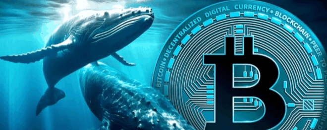 Bitcoin lùi bước trước áp lực chốt lời từ "cá voi"
