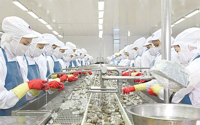 Thông tin trả cổ tức được đưa ra từ hồi tháng 7 khiến giá cổ phiếu MPC tăng ngoạn
mục từ mức dưới 40.000 đồng/CP lên 80.000 đồng/CP hiện nay.
