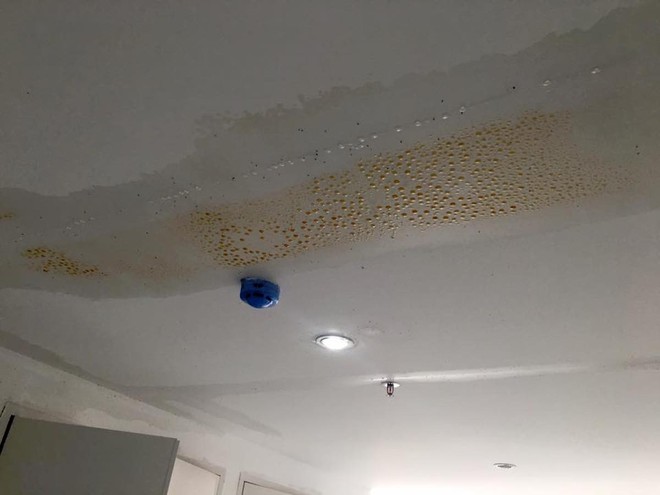 Trần nhà mới đưa vào sử dụng nhưng đã thấm nước
