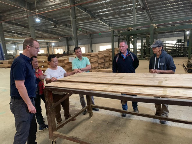 Cổ phiếu Sao Thái Dương (SJF) bị đình chỉ giao dịch từ ngày 13/11