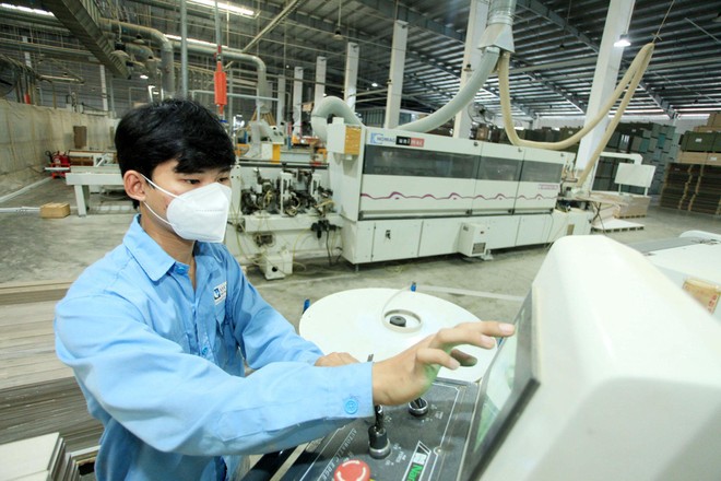 6 tháng: 113.600 doanh nghiệp thành lập mới và quay trở lại hoạt động, 100.000 doanh nghiệp rút lui khỏi thị trường 