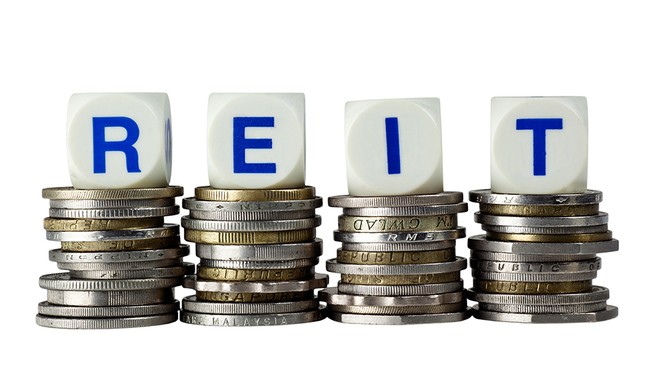 Ảnh: Shutterstock.