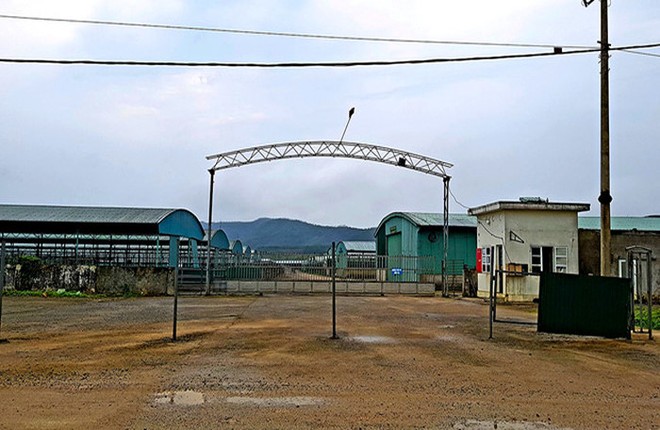 Trang trại chăn nuôi bò Bình Hà tại huyện Kỳ Anh bị bỏ hoang nhiều năm qua/Ảnh:Tân Kỳ (TNO).
