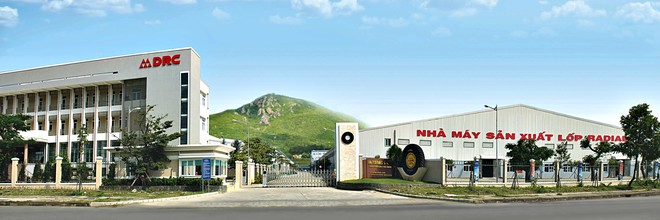 Cao su Đà Nẵng (DRC) gặp thách thức bán hàng cả thị trường nội địa và quốc tế trong năm 2020