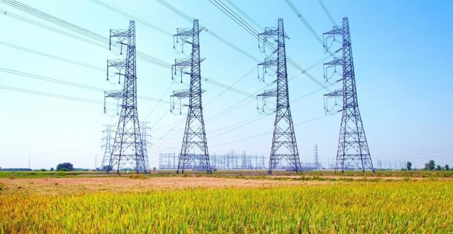 Nộp hồ sơ khai thuế quá thời hạn, Tư vấn Xây dựng Điện 2 (TV2) bị xử phạt