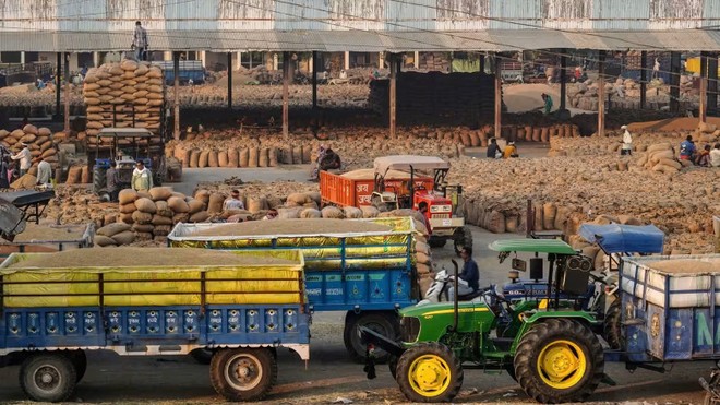 Tình trạng dư cung làm giảm biên lợi nhuận trong ngành gạo ở Ấn Độ