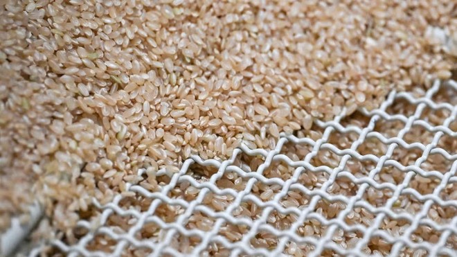 Giá gạo giảm xuống mức thấp nhất trong gần một thập kỷ