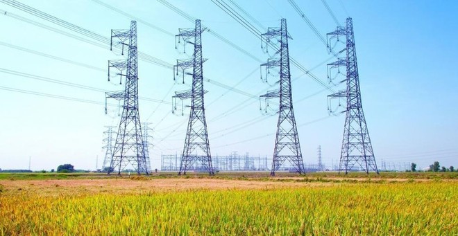 PECC2 (TV2) thành lập Công ty con với vốn điều lệ 69 tỷ đồng