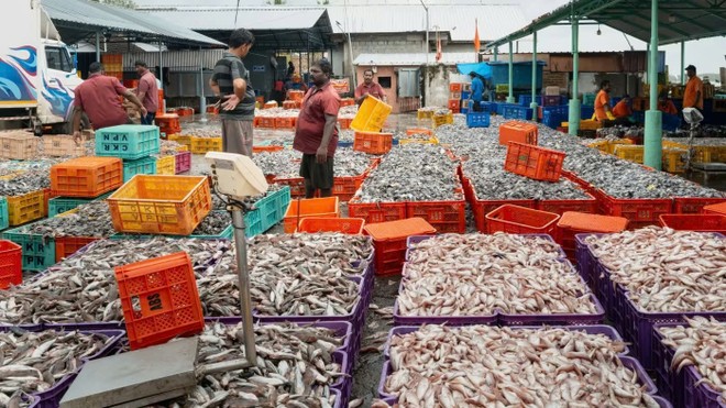 Thuế quan đẩy giá tôm tại Mỹ tăng cao