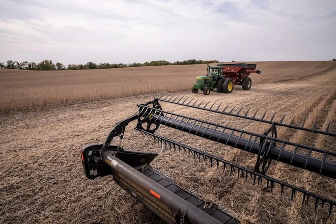 Bộ trưởng Tài chính Mỹ: Trung Quốc sẽ mua lượng lớn đậu tương từ Mỹ