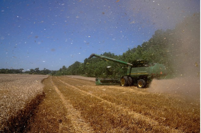 Xuất khẩu của Mỹ sang các thị trường mới nổi tăng mạnh trong năm 2025