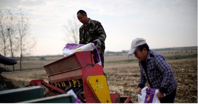 Xung đột Trung Đông ảnh hưởng trực tiếp đến nguồn nguyên liệu phân bón 