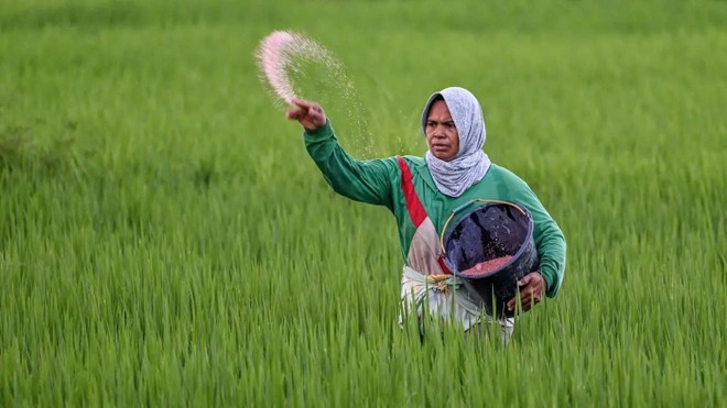 Nguồn cung lương thực toàn cầu có thể bị ảnh hưởng nghiêm trọng nếu xung đột Trung Đông kéo dài