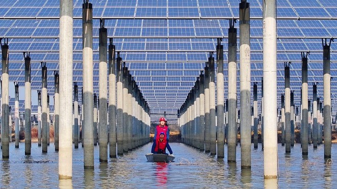 Trung Quốc kêu gọi nỗ lực phối hợp để xử lý công suất dư thừa trong ngành năng lượng mặt trời