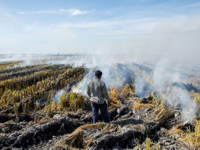 Trung Quốc có thể đối mặt nhiều tác động từ hiện tượng El Nino