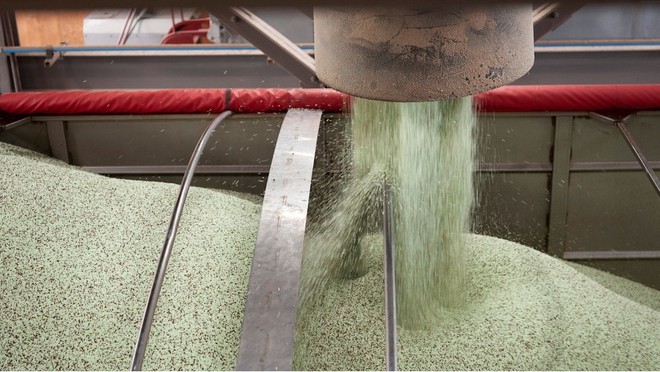 Giá phân bón lao dốc bất chấp nguy cơ gián đoạn nguồn cung từ Trung Đông